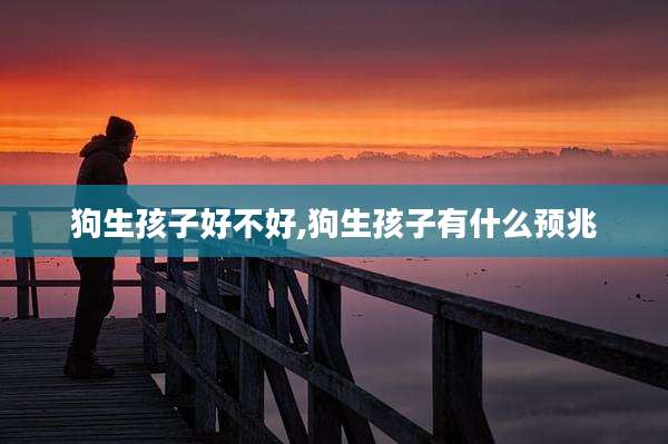 狗生孩子好不好,狗生孩子有什么预兆