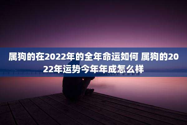 属狗的在2022年的全年命运如何 属狗的2022年运势今年年成怎么样