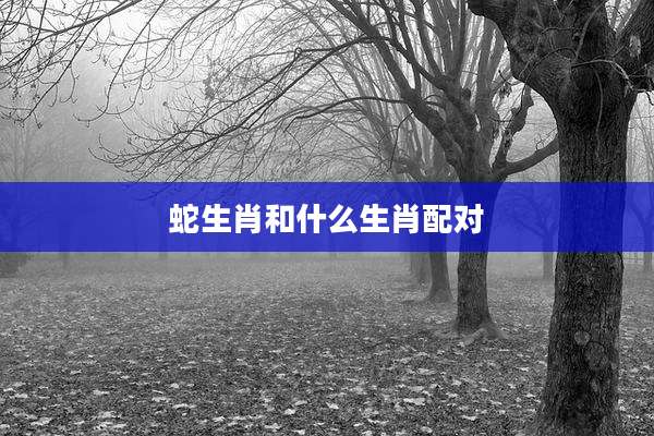 蛇生肖和什么生肖配对
