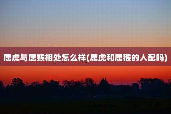 属虎与属猴相处怎么样(属虎和属猴的人配吗)