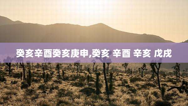 癸亥辛酉癸亥庚申,癸亥 辛酉 辛亥 戊戌