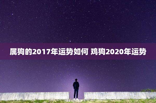 属狗的2017年运势如何 鸡狗2020年运势