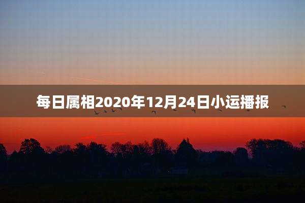 每日属相2020年12月24日小运播报