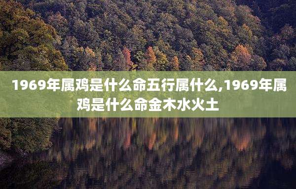 1969年属鸡是什么命五行属什么,1969年属鸡是什么命金木水火土