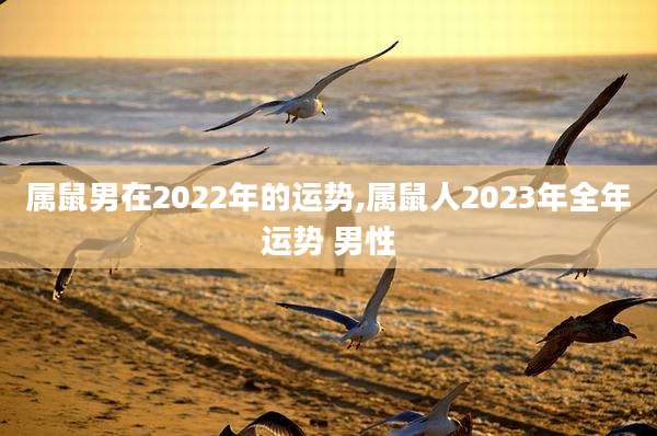 属鼠男在2022年的运势,属鼠人2023年全年运势 男性