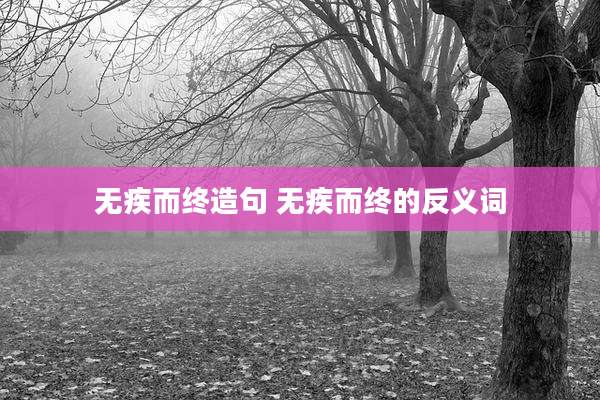 无疾而终造句 无疾而终的反义词