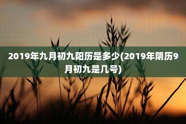 2019年九月初九阳历是多少(2019年阴历9月初九是几号)