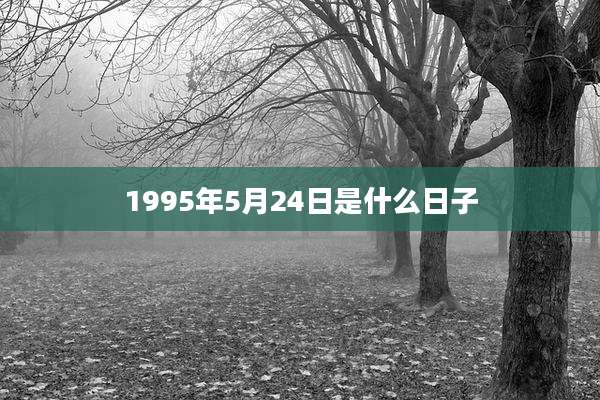 1995年5月24日是什么日子