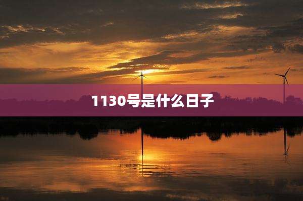 1130号是什么日子