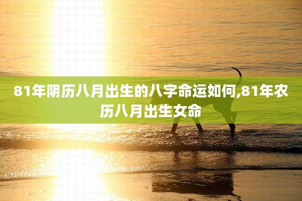 81年阴历八月出生的八字命运如何,81年农历八月出生女命