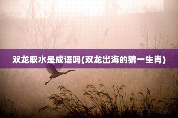 双龙取水是成语吗(双龙出海的猜一生肖)