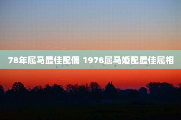 78年属马最佳配偶 1978属马婚配最佳属相