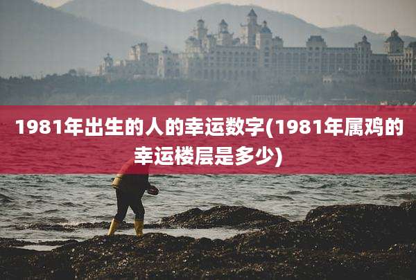 1981年出生的人的幸运数字(1981年属鸡的幸运楼层是多少)
