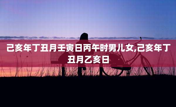 己亥年丁丑月壬寅日丙午时男儿女,己亥年丁丑月乙亥日
