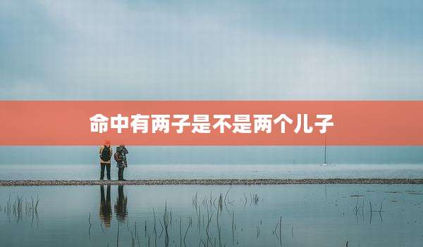 命中有两子是不是两个儿子