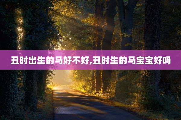 丑时出生的马好不好,丑时生的马宝宝好吗