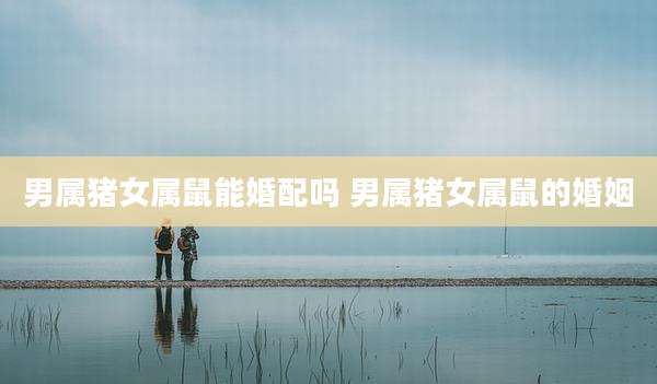 男属猪女属鼠能婚配吗 男属猪女属鼠的婚姻