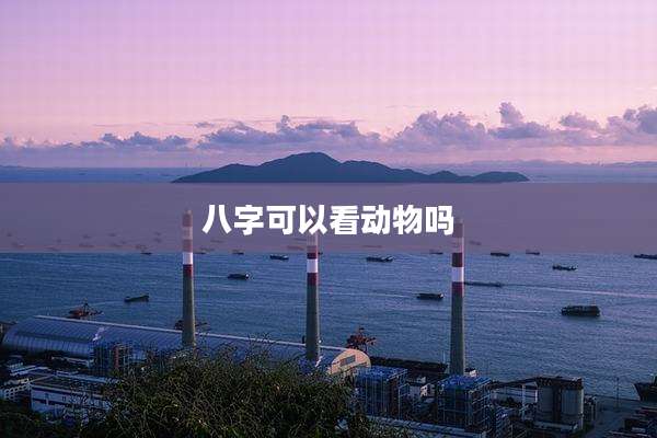 八字可以看动物吗