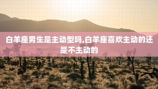 白羊座男生是主动型吗,白羊座喜欢主动的还是不主动的