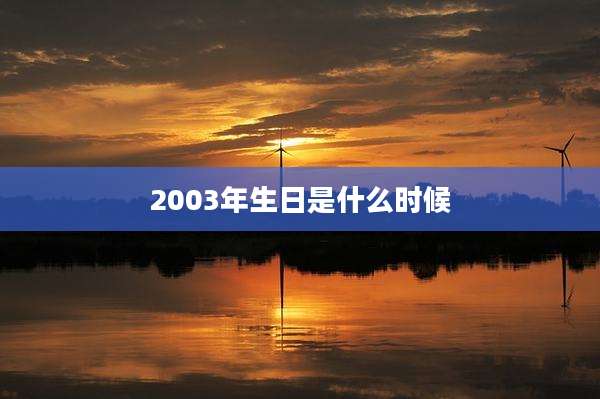 2003年生日是什么时候