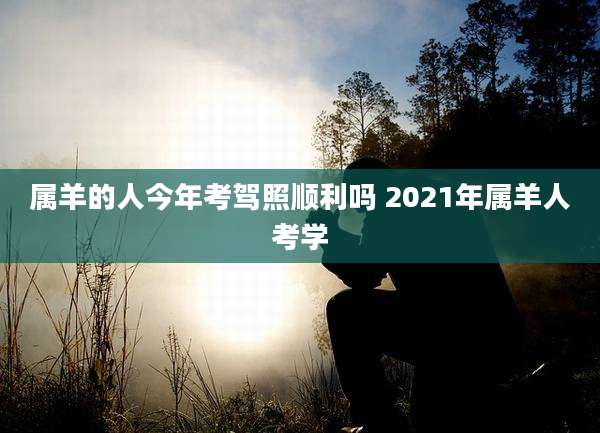 属羊的人今年考驾照顺利吗 2021年属羊人考学
