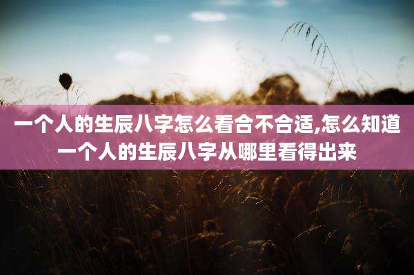 一个人的生辰八字怎么看合不合适,怎么知道一个人的生辰八字从哪里看得出来