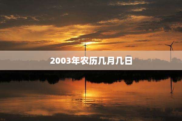 2003年农历几月几日
