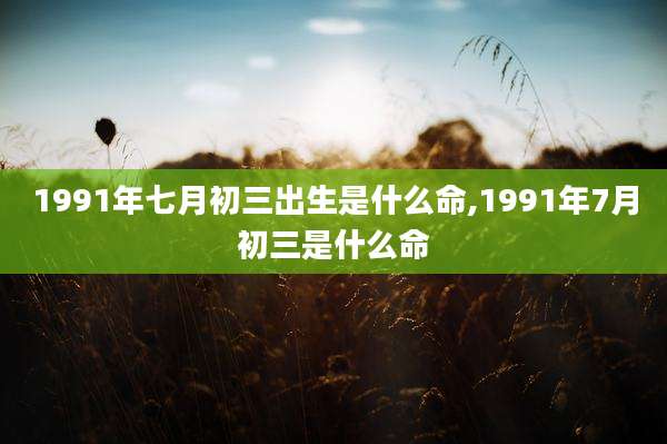 1991年七月初三出生是什么命,1991年7月初三是什么命