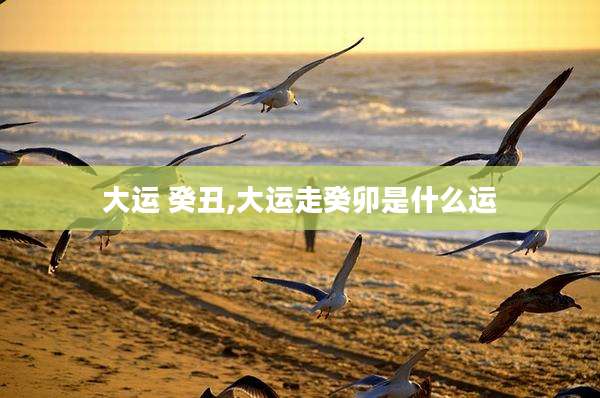 大运 癸丑,大运走癸卯是什么运