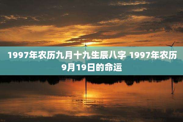 1997年农历九月十九生辰八字 1997年农历9月19日的命运