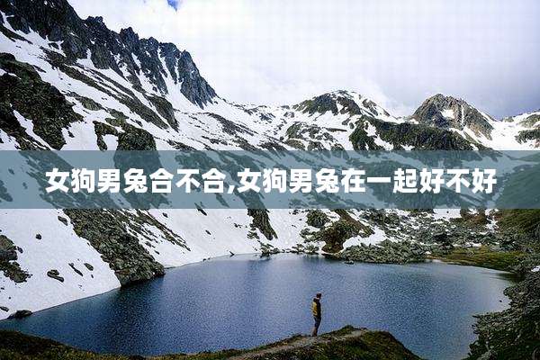 女狗男兔合不合,女狗男兔在一起好不好