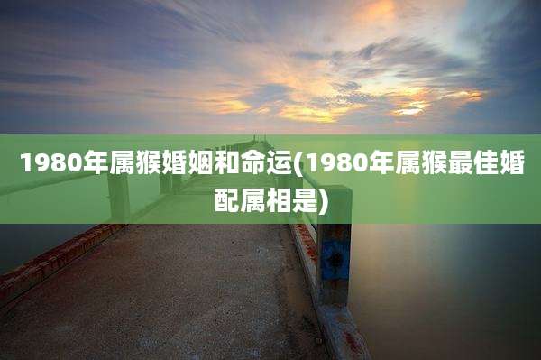 1980年属猴婚姻和命运(1980年属猴最佳婚配属相是)
