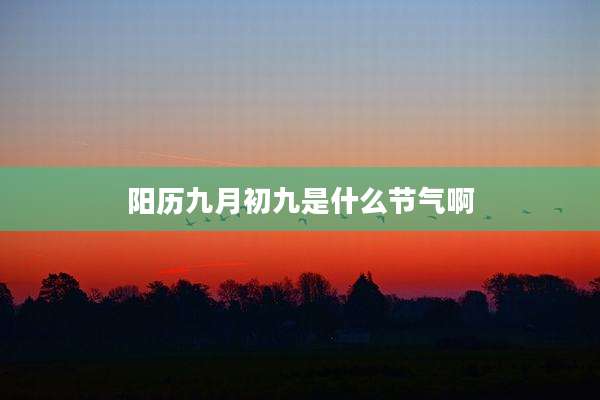 阳历九月初九是什么节气啊
