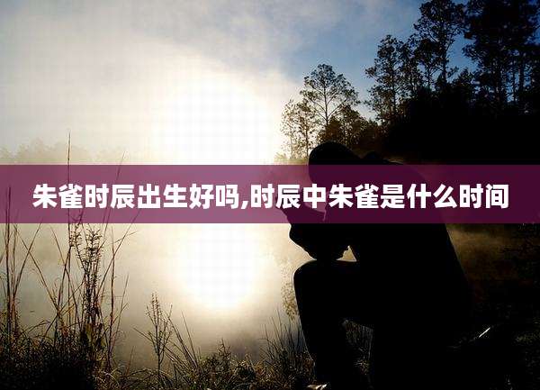 朱雀时辰出生好吗,时辰中朱雀是什么时间