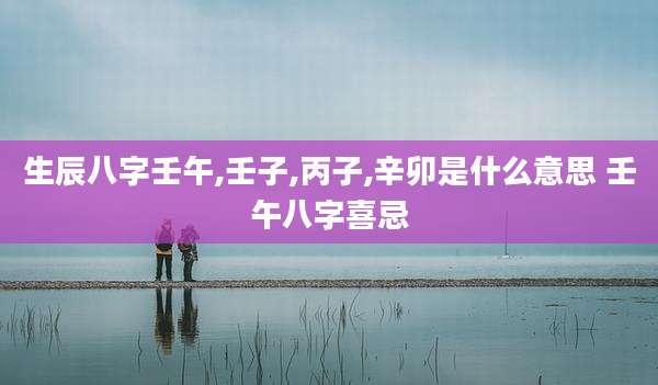 生辰八字壬午,壬子,丙子,辛卯是什么意思 壬午八字喜忌