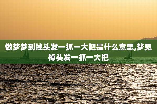 做梦梦到掉头发一抓一大把是什么意思,梦见掉头发一抓一大把