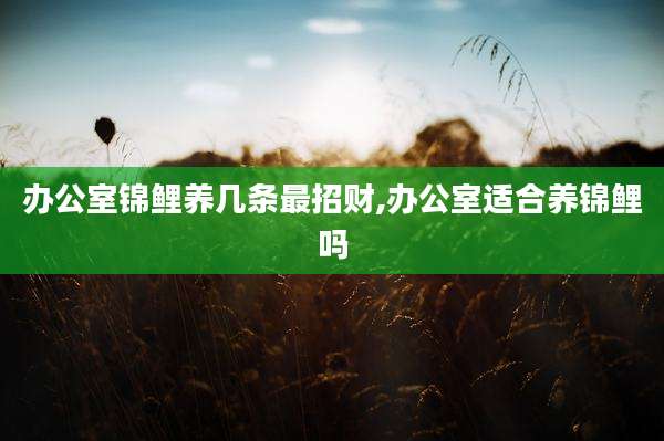 办公室锦鲤养几条最招财,办公室适合养锦鲤吗