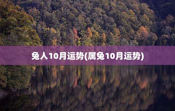 兔人10月运势(属兔10月运势)