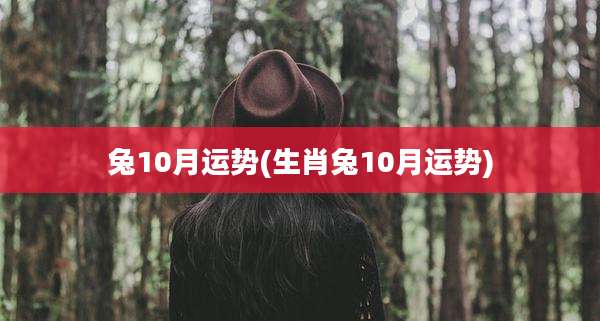 兔10月运势(生肖兔10月运势)