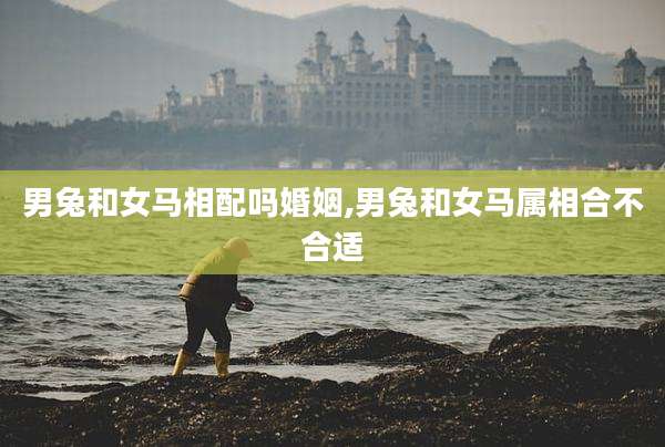 男兔和女马相配吗婚姻,男兔和女马属相合不合适