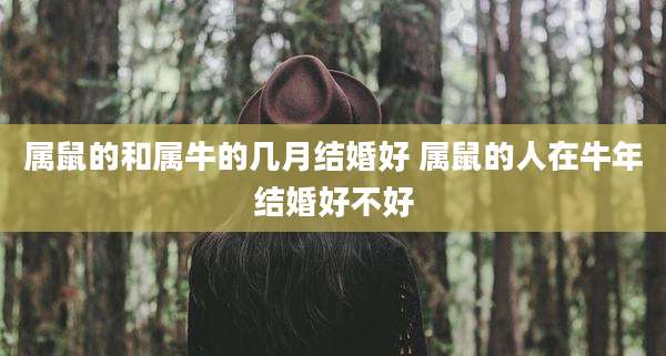 属鼠的和属牛的几月结婚好 属鼠的人在牛年结婚好不好