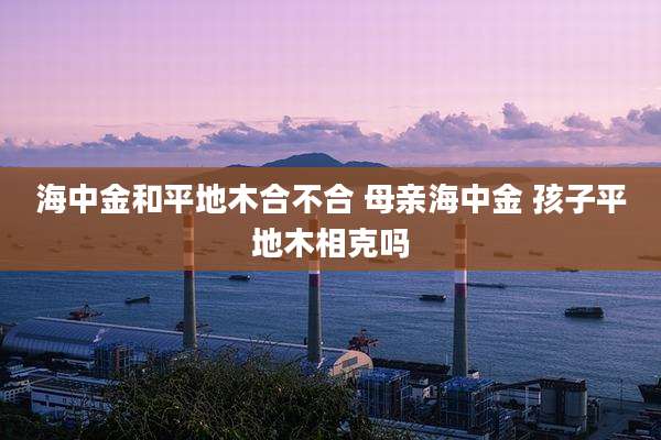 海中金和平地木合不合 母亲海中金 孩子平地木相克吗