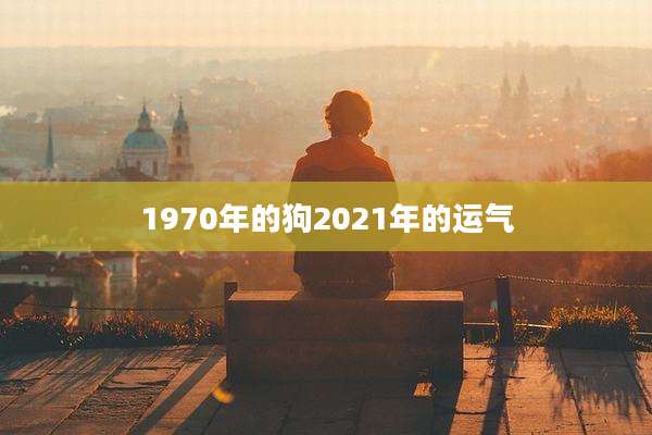 1970年的狗2021年的运气