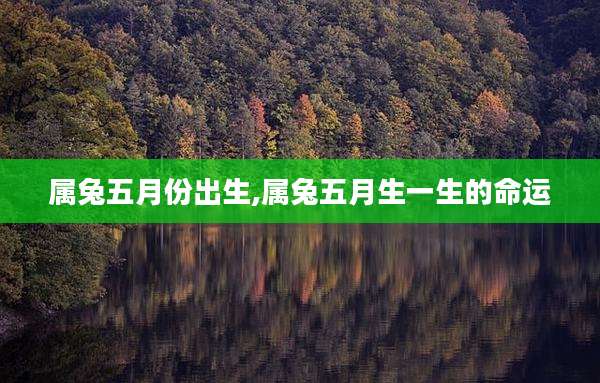 属兔五月份出生,属兔五月生一生的命运