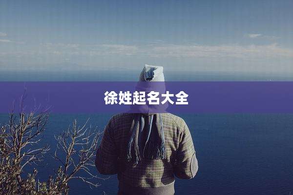 徐姓起名大全