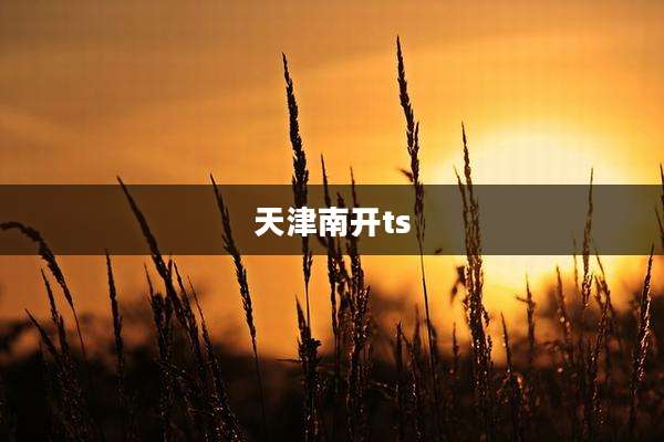 天津南开ts