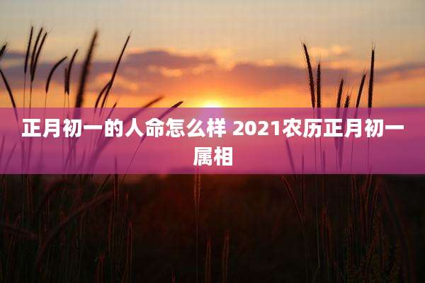 正月初一的人命怎么样 2021农历正月初一属相