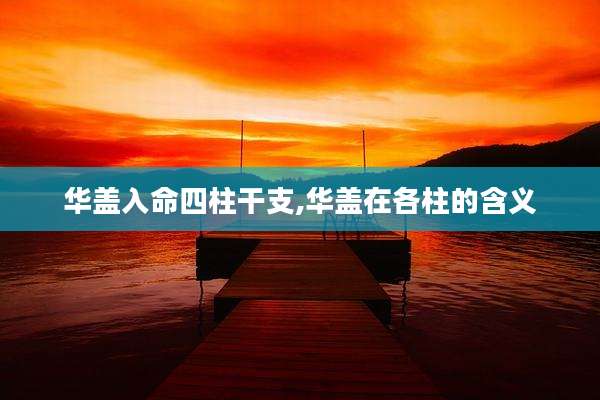 华盖入命四柱干支,华盖在各柱的含义