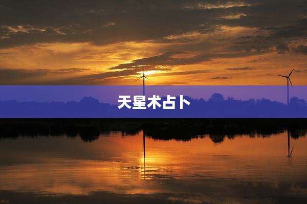 天星术占卜