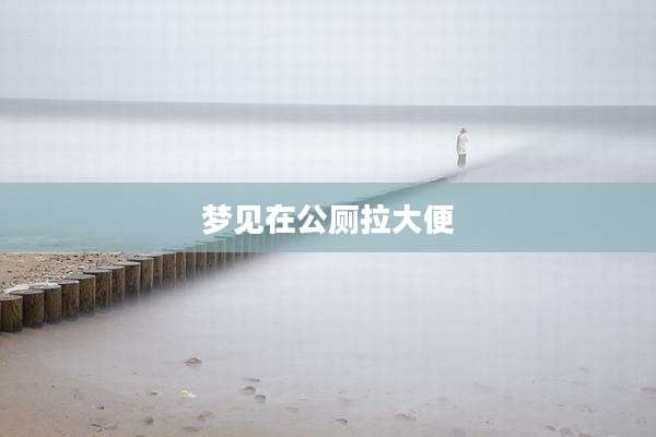 梦见在公厕拉大便
